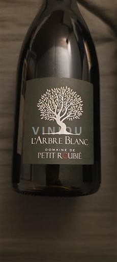 Linguadoca e Rossiglione Paese d'Oc Domaine Petit Roubie L'Arbre Blanc 2020