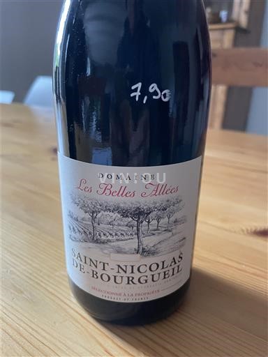Údolí Loiry Saint-Nicolas-De-Bourgueil Domaine Les Belles Allées 2023