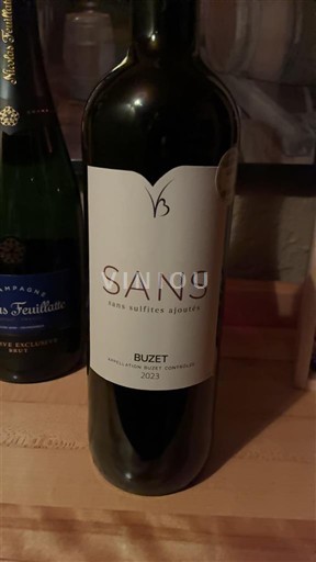 Sydväst Buzet Buzet Sans sulfites ajoutés 2023