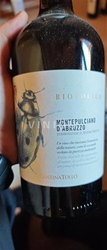 Abruzzo Montepulciano d'Abruzzo Cantina Tollo Bio 2021