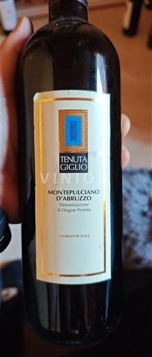 Abruzzo Wines Montepulciano d'Abruzzo Tenuta Giglio 2017