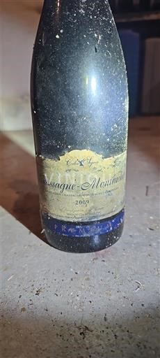Borgoña Chassagne-Montrachet Premier Cru Domaine Colin Seguin 2009