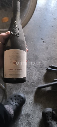 Valle della Loira Saumur-Champigny Domaine Drouineau 2014