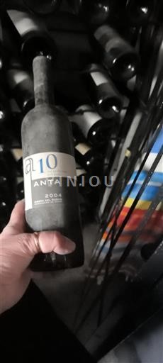 Wines Rouge sec a10 Anta 2004 Spain Castile and León Ribera del Duero DO