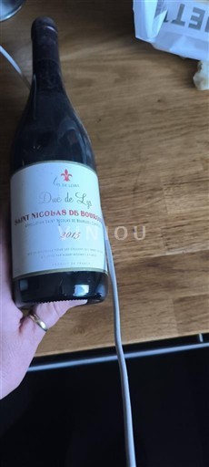 Údolí Loiry Saint-Nicolas-De-Bourgueil Domaine Les Grandes Roues Duo de Lys 2015