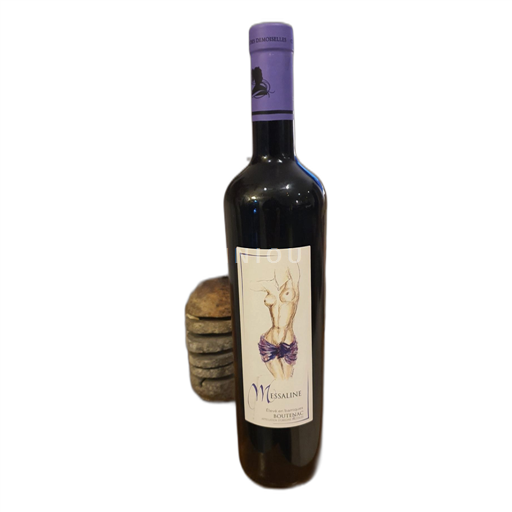 Languedoc Corbières-boutenac Cellier des Demoiselles 2021