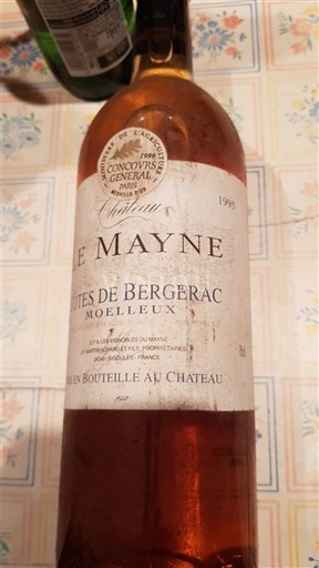 Sydvestfrankrig Côtes-de-bergerac Château Le Mayne 1995