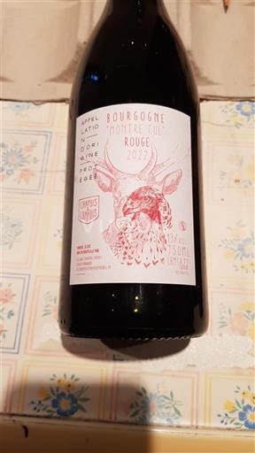 Burgundsko Tannins et Compagnie Montre Cul 2022