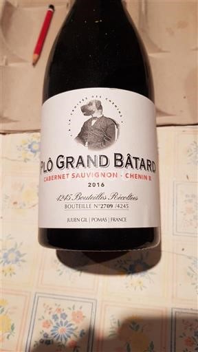 Zuidwest-Frankrijk Niet gespecificeerd Julien Gil Plô Grand Bâtard 2016