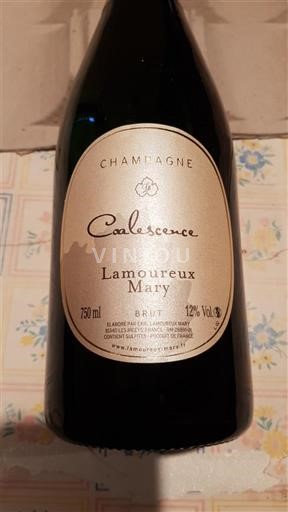Champagne Lamoureux Mary Coalescence Ikke årgangsbestemt