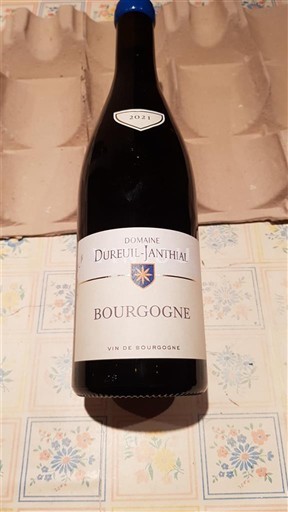 Burgundy Domaine Dureuil-Janthial 2021
