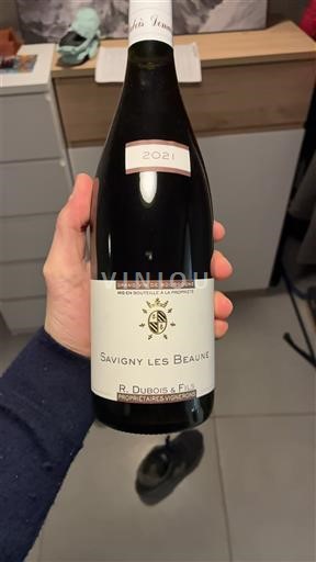 Bourgogne Savigny-lès-beaune R. Dubois & Fils 2021