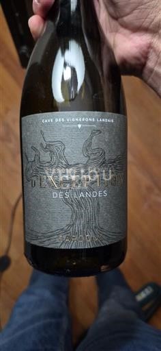 Zuidwest-Frankrijk Niet gespecificeerd Cave des Vignerons Landais L'Exception des Landes 2023