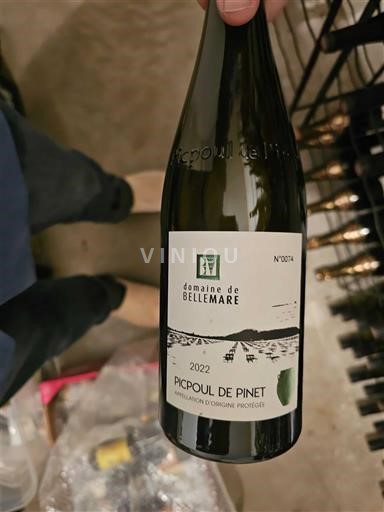 Languedoc Picpoul-de-pinet Domaine Bellemare Amphora 2022