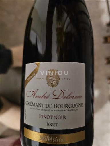 Bourgogne Crémant de Bourgogne André Delorme Pinot Noir 2019