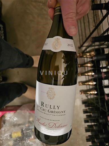 Bourgogne Ikke specificeret Premier Cru André Delorme Rully 1er Cru Grésigny 2022