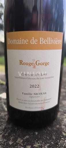 Valle della Loira Coteaux-du-loir Domaine Bellivière Rouge-Gorge 2022
