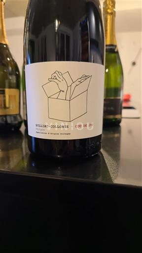 Beaujolais Beaujolais byar BulliAT-Collonge Coup de Jeu 2023