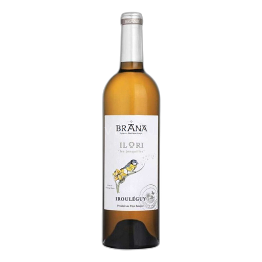 Sud-Ouest Irouléguy Brana Ilori les jonquilles 2023