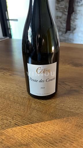 Thung lũng sông Loire Coteaux-du-vendômois Colin Pente des Coutis 2023