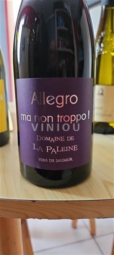 Valle del Loira Saumur Domaine La Paleine Allegro ma non troppo! 2017