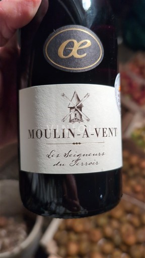 Beaujolais Moulin-à-vent Les Seigneurs du Terroir 2024