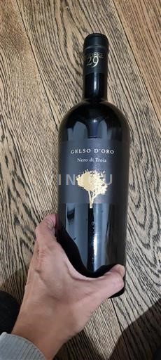 Puglia Niet gespecificeerd Gelso Oro Nero di Troia 2019