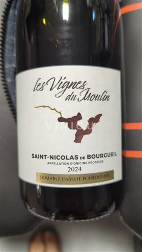 Loire-dalen Saint-Nicolas-De-Bourgueil Domaine Caslot-Pontonniér Les Vignes du Moulin 2024