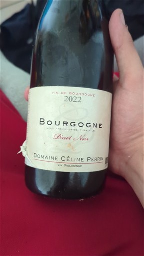 Burgundsko Domaine Céline Perrin Pinot Noir 2022