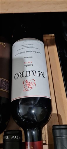 Castilla y León Không được chỉ định Mauro 2012