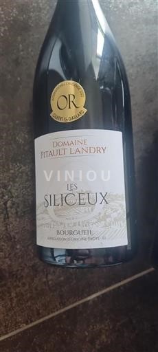 Thung lũng sông Loire Bourgueil Pitault Landry Les Siliceux Không niên vụ
