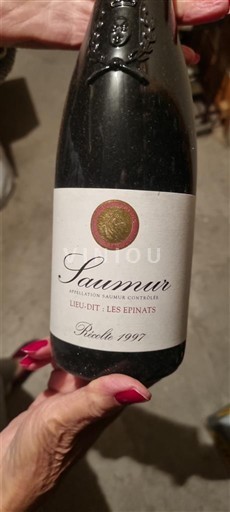 Vallée de la Loire Saumur Lieu-dit Les Epinats 1997