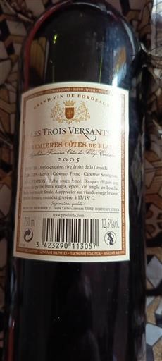 Bordeaux Castillon-côtes-de-bordeaux Les Trois Versants 2005
