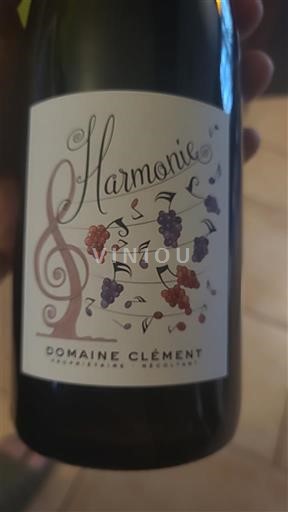 Bourgogne Bourgogne Coulanges-la-Vineuse Domaine Clément Harmonie 2022