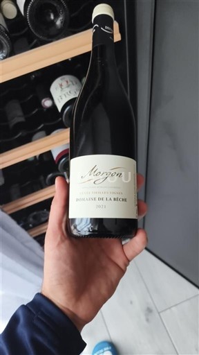 Beaujolais Morgon Domaine La Roche 2021