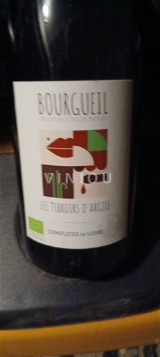 Vallée de la Loire Bourgueil Complices de Loire Les terroirs d argile 2023