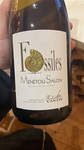Loire-dalen Menetou-Salon Koldevin Cantin Fossiles 2024