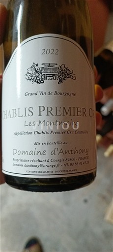 Bourgogne Chablis Premier Cru Domaine Anthony Les Montmains 2022