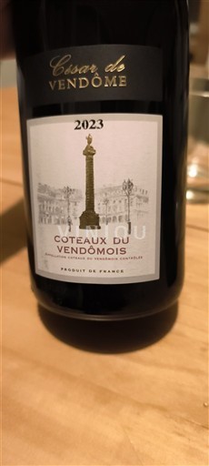Loire Valley Coteaux du Vendômois César de Vendôme 2023
