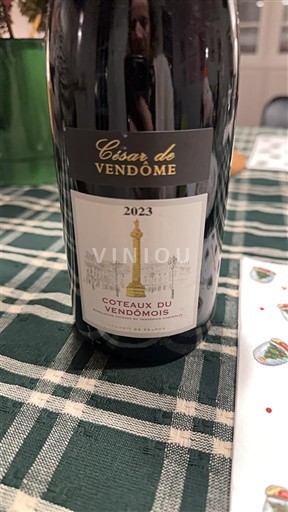 Valle del Loira Coteaux del Vendômois César de Vendôme 2023