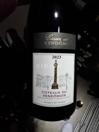 Valea Loarei Coteaux-du-vendômois César de Vendôme 2023