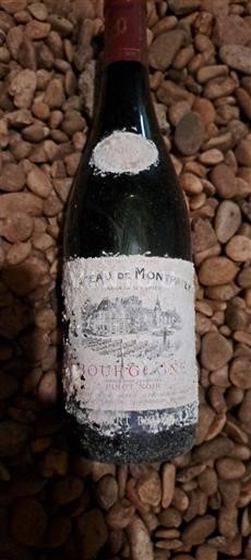 Bourgondië Bourgogne Château Montpatey 2005