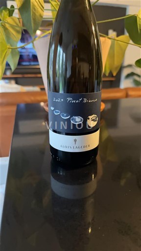 Veneto Valdadige Alois Lageder 2024