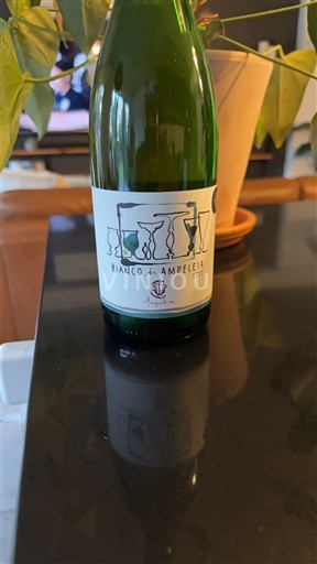 Toscana Non specificato Ampeleia Bianco di Ampeleia 2022