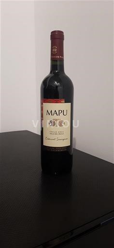 Maipo Valley Maipo Central Mapu 2024