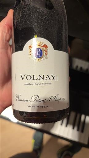 Borgonha Volnay Domaine Potinet-Ampeau 2019