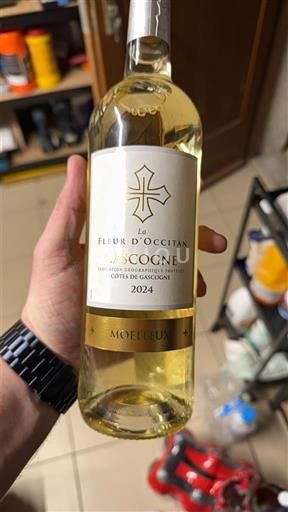 Sudoeste Côtes de Gascogne La Fleur Occitan 2024