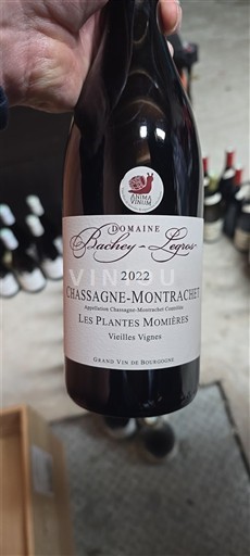 Burgund Chassagne-Montrachet Domaine Bachey-Legros Les Plantes Momières Vieilles Vignes 2022