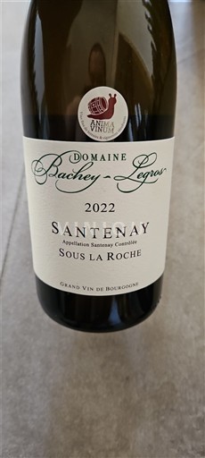 Burgundija Santenay Domaine Bachey-Legros Sous la Roche 2022