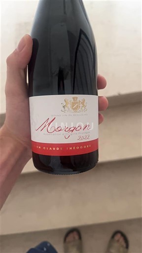 Beaujolais Morgon Jean Claude Théodore 2022